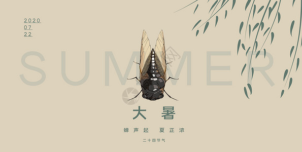 夏天昆虫小蜻蜓大暑设计图片