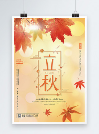黄色枫叶中国传统二十节气之立秋宣传海报设计模板