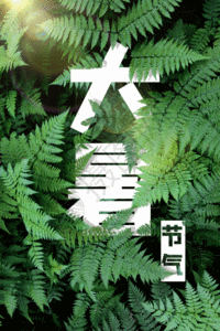 植物大暑字体海报设计GIF图片