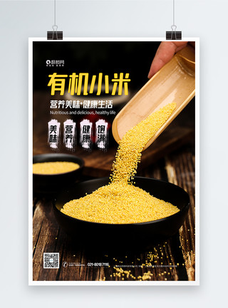 黄沁五谷杂粮小米黄小米海报模板