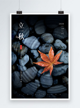 鹅卵石贴图立秋节气枫叶海报模板