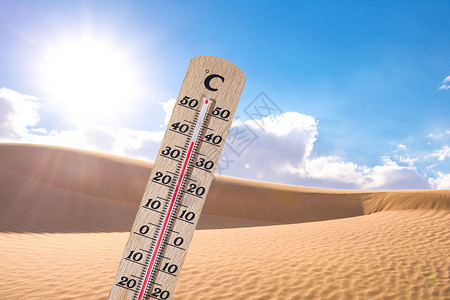沙漠枯树高温预警设计图片
