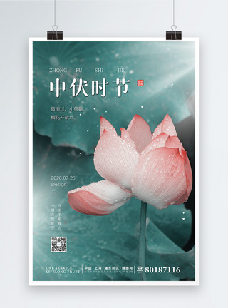 中国传统荷花文艺简约荷花三伏天中伏节日海报模板