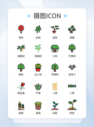 沙果树UI设计大自然植物绿植彩色填充icon图标模板