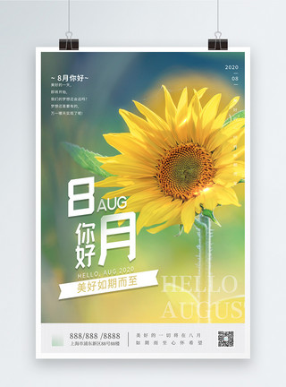 向日葵花瓶8月你好早安正能量宣传海报模板