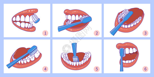 口腔工具巴氏刷牙法刷牙步骤插画