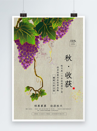 提子葡萄烫金手绘风本地葡萄水果促销海报模板