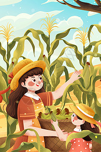 秋季丰收摘玉米插画高清图片