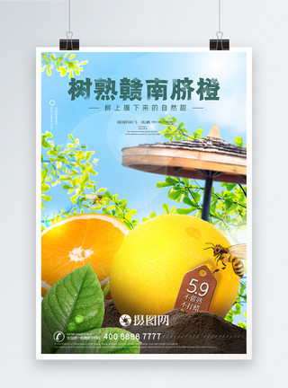 脐橙汁高端精致橙子助农水果海报模板