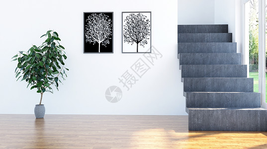 盆景树室内极简主义设计设计图片