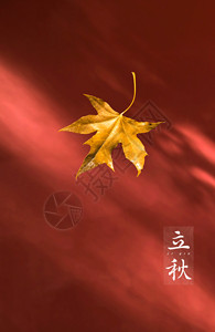 树叶飘落倒影立秋红色枫叶海报设计GIF高清图片