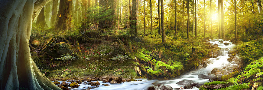 河水河流梦幻森林场景设计图片