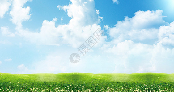 草坪雏菊草地天空背景设计图片