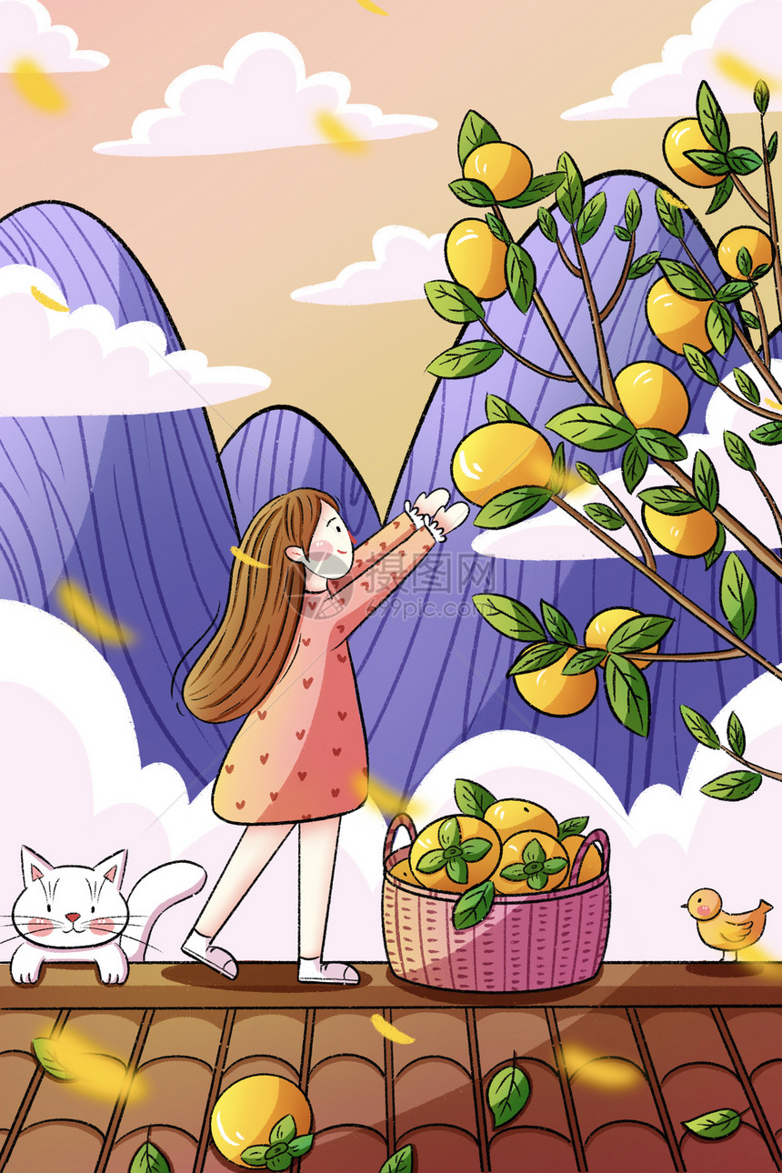 白露女孩摘柿子图片