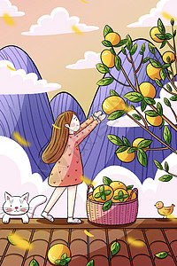 白露女孩摘柿子背景图片