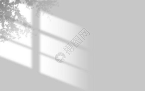 黑白点树素材自然光影背景设计图片