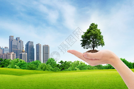 城市环保环保概念手捧树高清图片