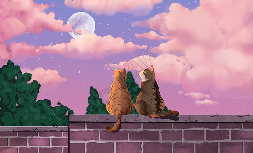 围墙素材砖猫咪赏月插画