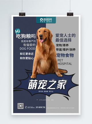 紧急护理诊所宠物店宠物医院护理托管海报模板