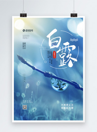 中国传统二十四节气白露蓝色二十四节气之白露宣传海报模板