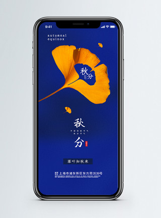 秋banner秋分节气手机海报配图模板