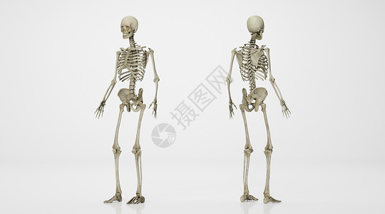骷髅骨架人体骨骼场景设计图片