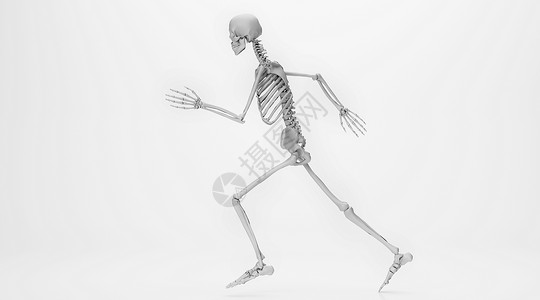 人体骨骼场景背景图片
