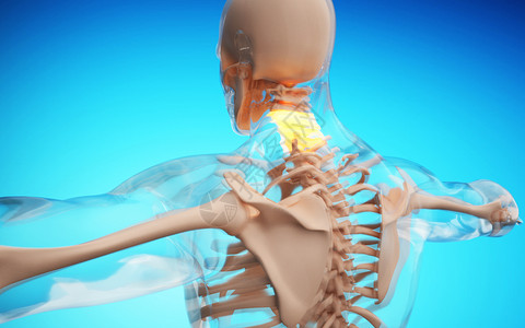 脊梁骨人体颈椎疾病设计图片
