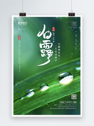 绿叶露水清新二十四节气之白露宣传海报模板