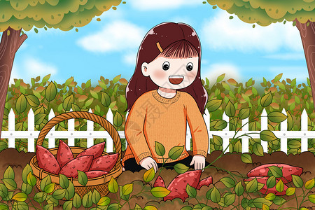 红薯秧挖甘薯的女孩插画