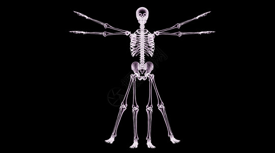 X光人体骨骼场景背景图片