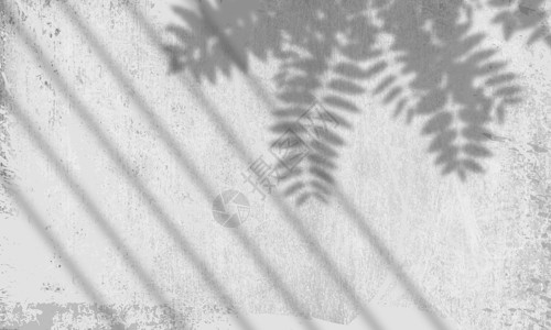 树叶影子自然光影背景设计图片