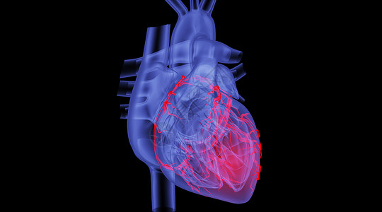 人体心脏3D场景高清图片