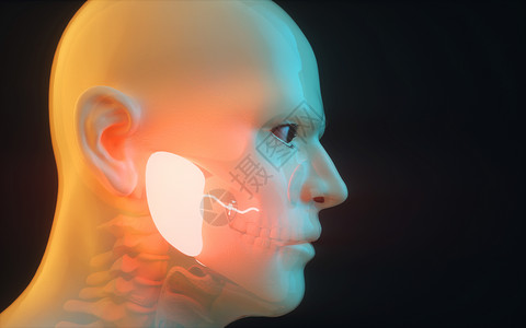 3d面部人体腮腺疾病设计图片