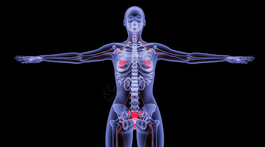 胸部保健X光人体乳腺子宫场景设计图片