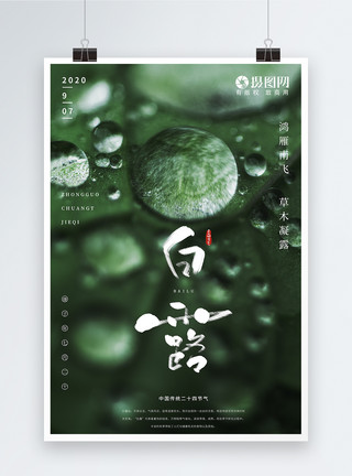 绿色叶子水珠白露节气摄影图片海报模板