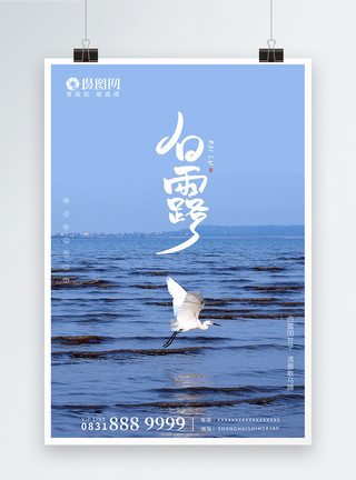 蓝色飞翔的翅膀白露节气摄影图片海报模板