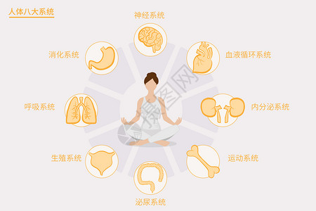 人体呼吸系统医疗健康人体八大系统矢量插画插画