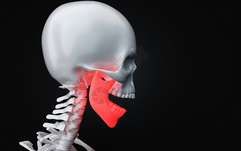 人体下颚骨设计图片