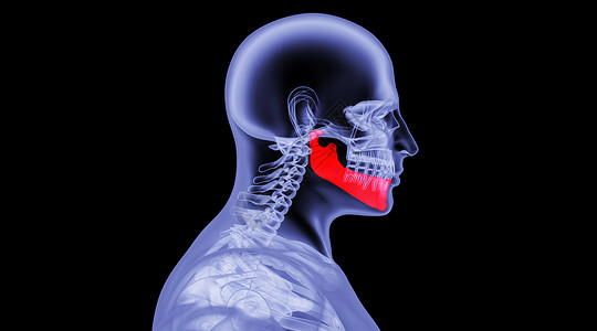 人体下颚骨场景图片