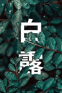 水珠露珠白露节气GIF高清图片