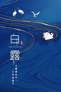 雁阵蓝色烫金二十四节气之白露GIF高清图片