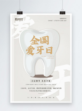 牙种植体全国爱牙日节日海报模板