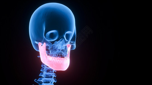 3D下颌骨场景背景图片