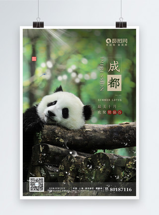 国宝熊猫啃竹子清新简约成都熊猫旅游海报模板