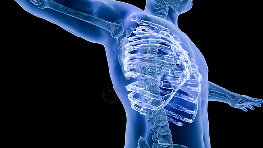 脊骨胸腔脊柱侧面透视设计图片
