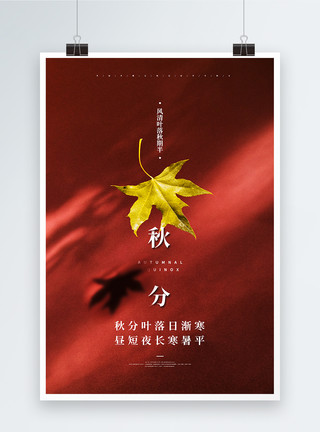 红枫一叶写实风摄影图二十四节气秋分海报模板