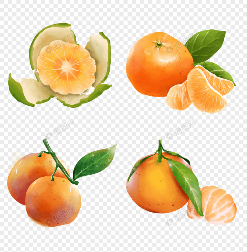 水彩橘子组合图片