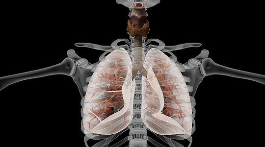 鼻咽喉人体支气管场景设计图片