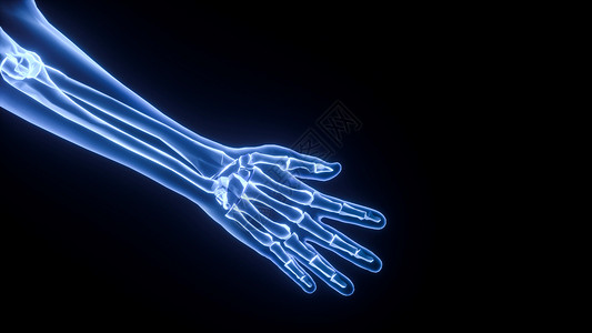 手部肌肉3D手骨场景设计图片